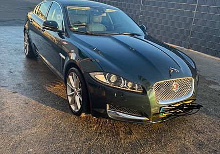Jaguar XF 3.0 L V6 Diesel -