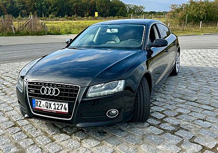 Audi A5 gebraucht kaufen Audi A5 3.0 TDI (DPF) S tronic quattro Sportback -