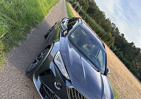 Cupra Formentor VZ|Brembo|Beats|AHK|Elekt.Sitz|AllW