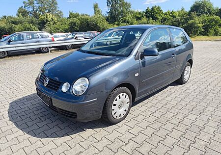 VW Polo Volkswagen IV Cricket