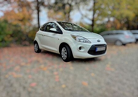 Ford Ka gebraucht kaufen Ford Ka 1,2 Trend 2009 Gepflegt