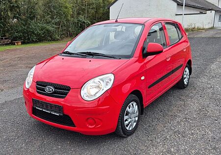 Kia Picanto gebraucht kaufen Kia Picanto