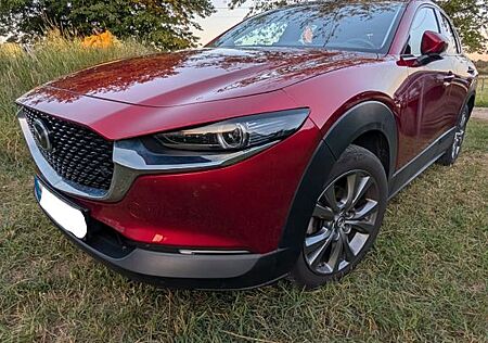 Mazda CX-30 2.0 e-SKYACTIV-G M-Hyb 150 Selection Autom