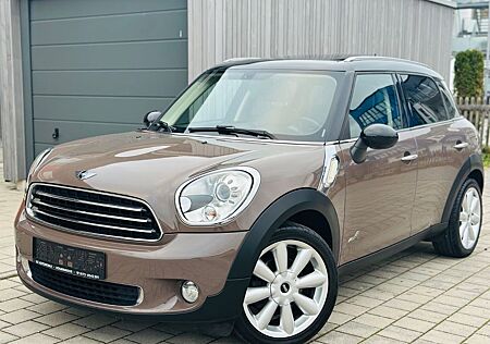 Mini Cooper D Countryman All4 Leder/Navi/Pano/SZH/PDC
