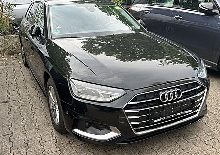 Audi A4 Avant 35 TDI S tronic advanced / PANO