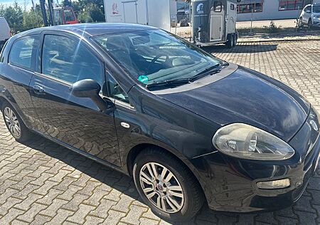 Fiat Punto More