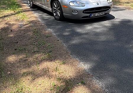 Jaguar XK8 Cabriolet -