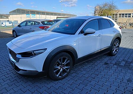 Mazda CX-3 CX-30 100th Anniversary vom Kfz Meisterbetrieb