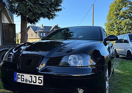 Seat Ibiza 1.9 TDI PD 101 PS DPF