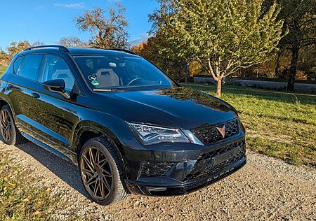 Cupra Ateca 2.0 TSI 4WD DSG Pano TÜV Neu
