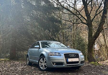 Audi A3 gebraucht kaufen Audi A3 1.6 FSI TÜV NEU- 8-Fach bereift