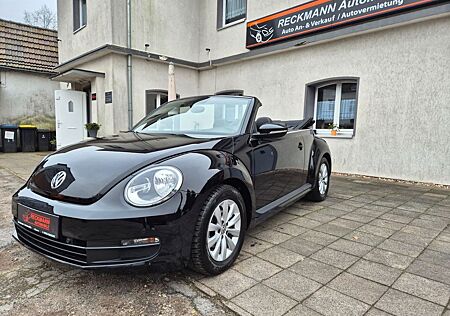 VW Beetle Volkswagen Cabriolet 1.2 TSi BMT*Leder-Alu-PDC*