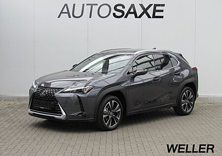 Lexus UX 250h Style Edition *Kamera*CarPlay*ACC*LED*SH