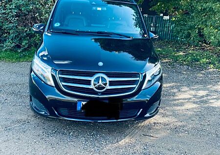 Mercedes-Benz V 250 gebraucht kaufen Mercedes-Benz V 250 d 4MATIC AVANTGARDE EDITION lang