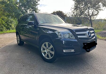 Mercedes-Benz GLK 220 CDI 4MATIC BlueEFFICIENCY -