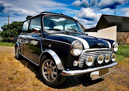 Mini Andere