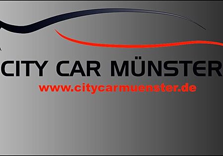 Mercedes-Benz E 250 T BlueTec 4Matic AMG ACC SPUR StdHz