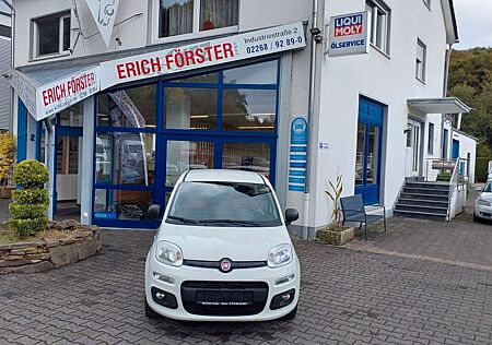 Fiat Panda Easy
