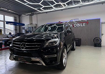 Mercedes-Benz ML 350 CDI Amg Line BlueTec Kamera PDC Navi Temp