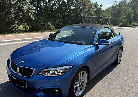 BMW 220d Cabrio, M Performance Bremsen, H&K, Kamera