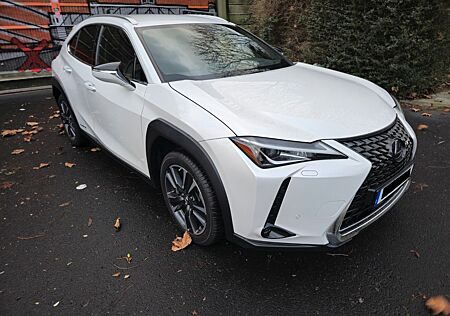 Lexus UX 250h Style Edition Garantie