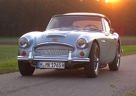 Austin Healey Andere