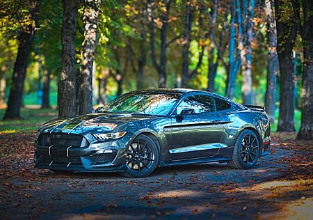 Ford Mustang Shebly GT350 *Track Pack *Recaro