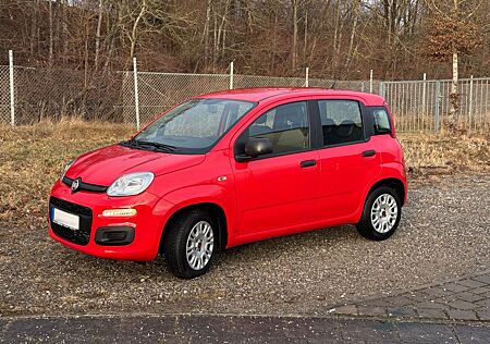 Fiat New Panda Panda 1.2 8V EASY | Nur 8 TKM! Rentnerfahrzeug