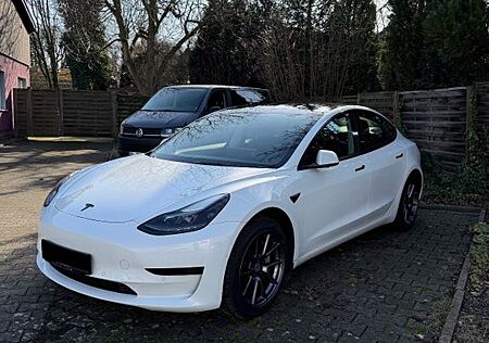 Tesla Model 3 Standard-Reichweite Plus - Hinterrad...