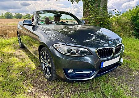 BMW 230i Cabrio Sport Ahk (neu) Leder Autom. 8-fach