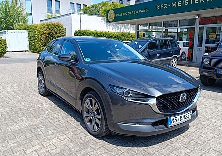 Mazda CX-30 Leder/Head-Up/Totwinkel