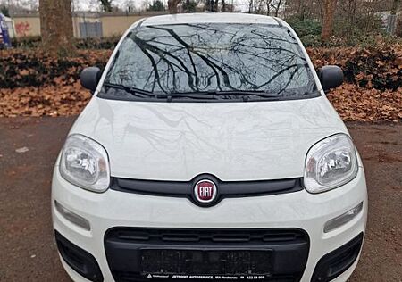 Fiat New Panda 1.2 8V EASY EASY