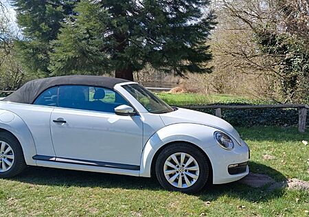 VW New Beetle Volkswagen