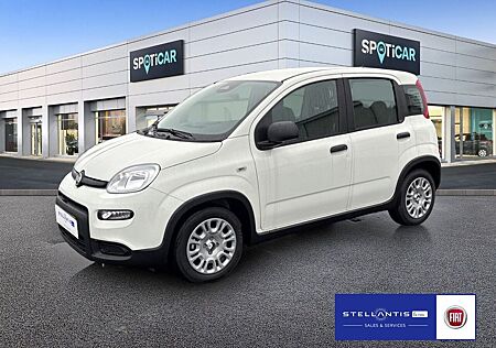 Fiat Panda 1.0 Mild Hybrid Base (EURO 6e)