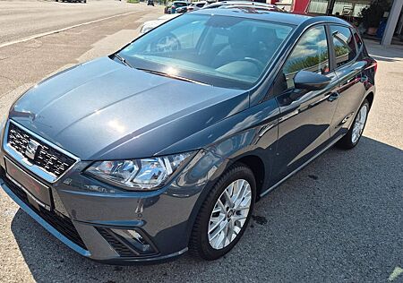Seat Ibiza Style