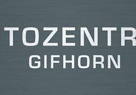 Ford EcoSport Cool & Connect/NAVI/PDC/BEH.LENKRAD