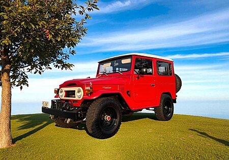 Toyota Land Cruiser gebraucht kaufen Toyota Land Cruiser