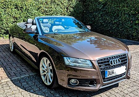 Audi A5 3.0 TDI (DPF) S tronic quattro Cabrio