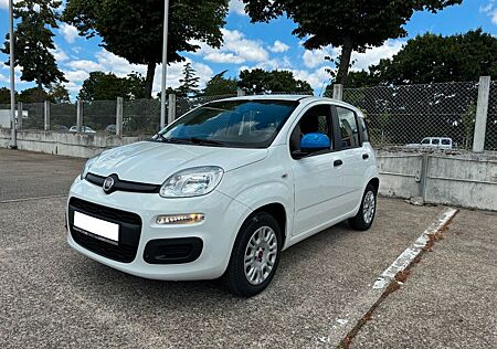 Fiat Panda 1.2/ Serivce Neu/ TÜV 10/26/Garantie