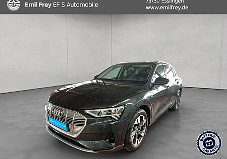 Audi e-tron 50 advanced HUD AHK Pano