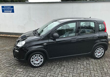 Fiat Panda MY24 1.0 GSE Hybrid Klimaanlage