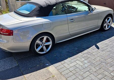 Audi A5 2.0 TDI (DPF) Cabriolet -
