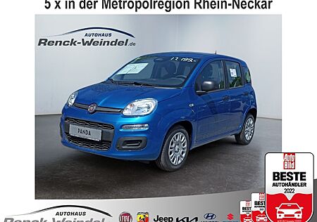Fiat Panda 1.0 GSE City Paket Verkehrszeichenerk. Not