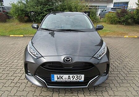 Mazda 2 1.5L Hybrid VVT-i FWD Agile