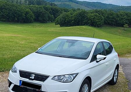 Seat Ibiza Style