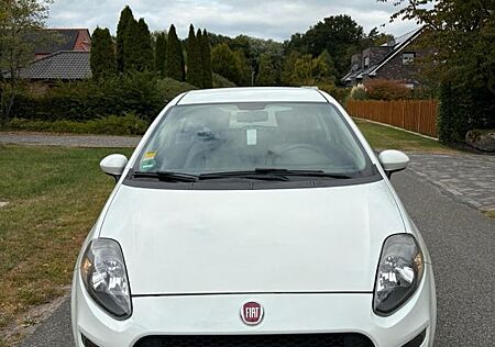 Fiat Punto 1.2 8V POP POP