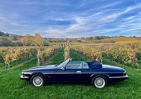 Jaguar XJS V12 Cabrio dt Fzg Top letztes Chrommodell