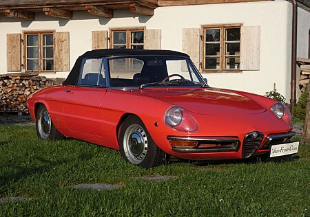Alfa Romeo Spider Rundheck