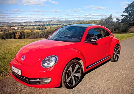 VW Beetle Volkswagen 1.4 TSI Sport - Panorama Dach!