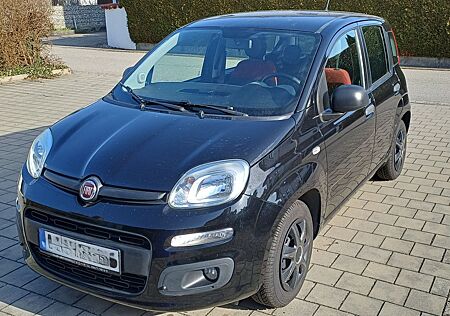 Fiat Panda 1.2, gepflegt, Klima, TÜV